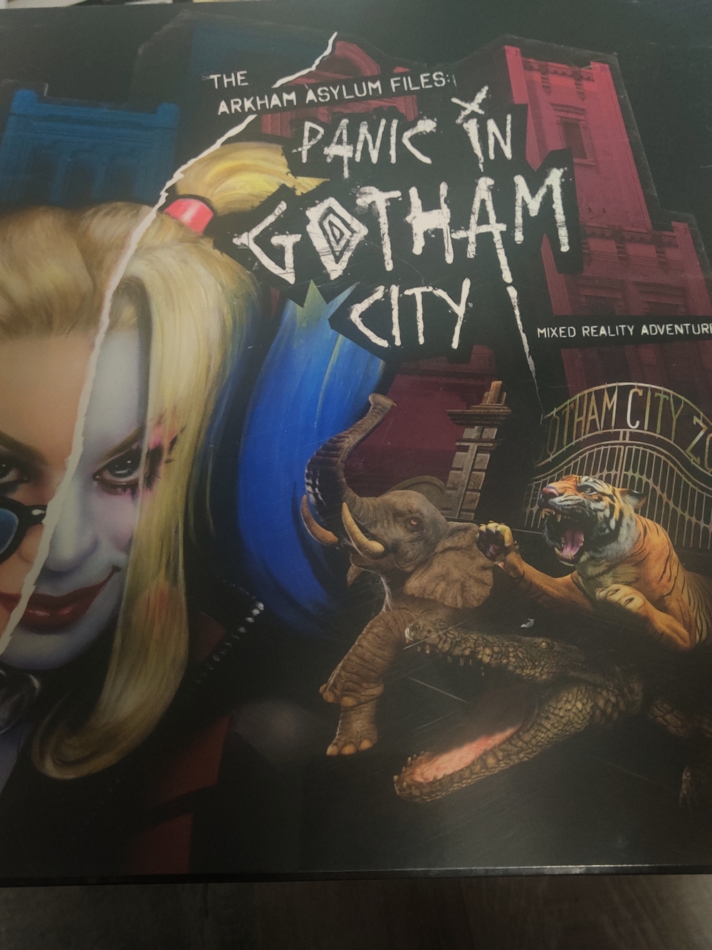 Panic in Gotham City - The Arkham Asylum Files Cover Art